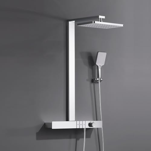 Delura Rain Shower Heads System