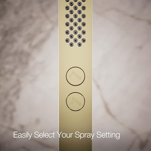 Shift Plus Square Two-Function Handshower 175 Gpm