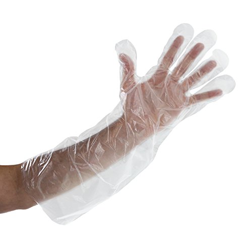 Royal 215 Disposable Gloves Case of 2000