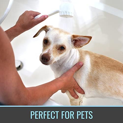 HealthSmart Modern Handheld Shower Head with 6 Foot Hose