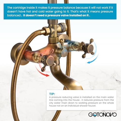 Gotonovo 8 Inch Antique Brass Wall Mount Shower System