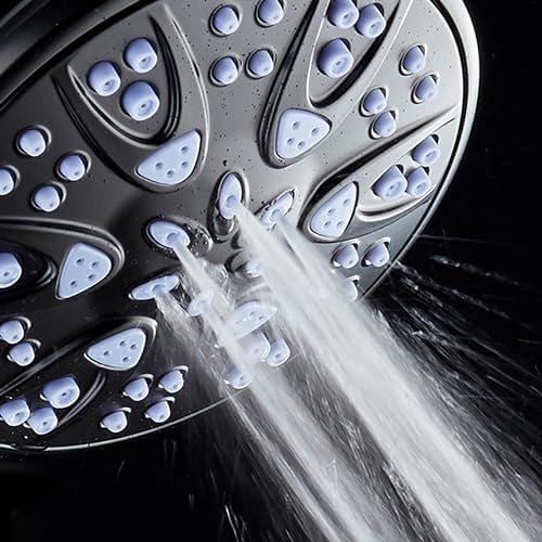 AquaDance Antimicrobial Handheld Shower