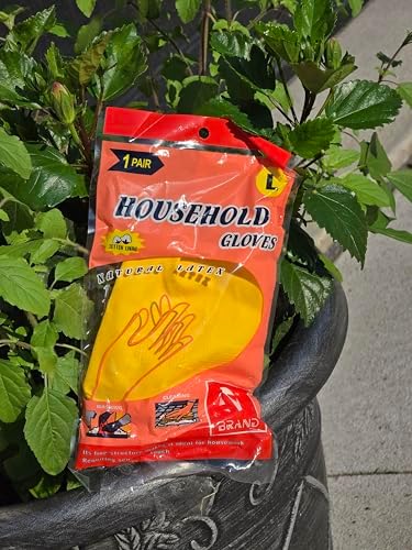 Premium Natural Latex Gloves