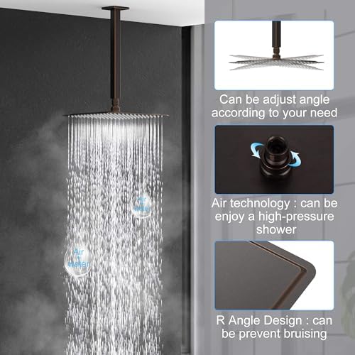 SR SUN RISE 10 Inch Oil Rubbed Bronze Rain Shower System
