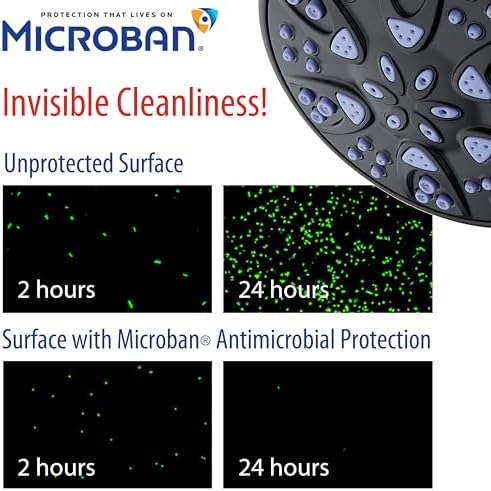 AquaDance Antimicrobial Handheld Shower