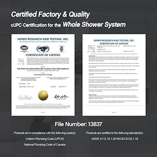 Iriber Brushed Nickel Shower System with 12 Inch Rain Shower Head