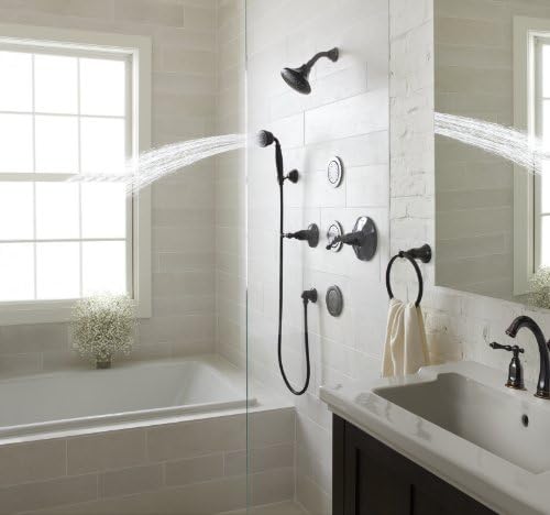 Kohler K-10343-2BZ Handheld Showerhead