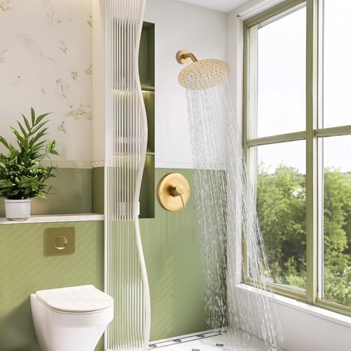 Sleek Matte Black Shower Head