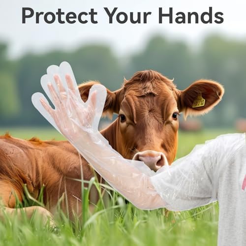 HANYMWANZW Durable 50-Piece Gloves for Field Use