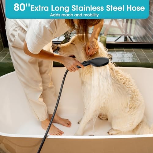 Dual Handheld Shower Head Combo with 80 Inch Hose and 6 Settings