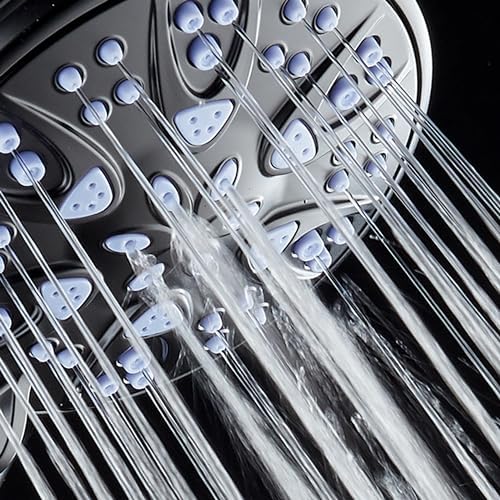 AquaDance Antimicrobial Handheld Shower